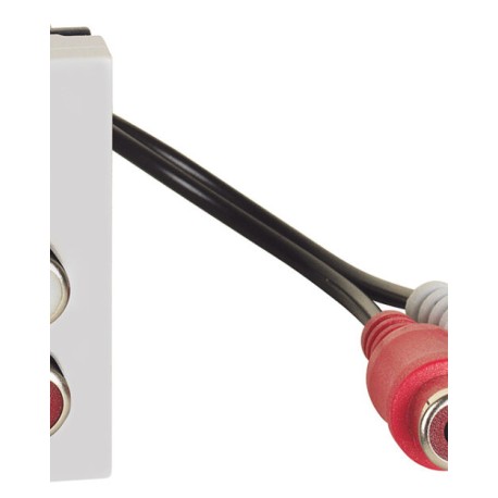 Conector RCA 2 canales